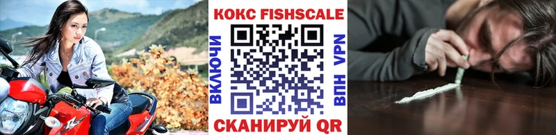 где купить наркоту  Тайга  COCAIN Fish Scale 