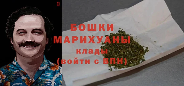 гидра Михайловск