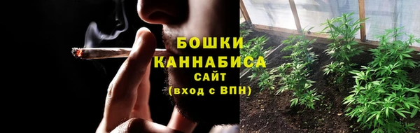 гидра Михайловск