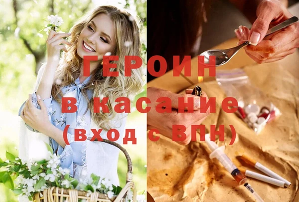 гидра Михайловск