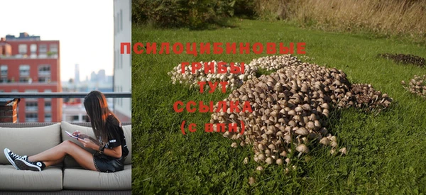 гашишное масло Новый Уренгой
