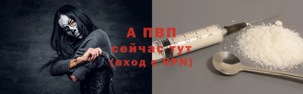 гидра Михайловск