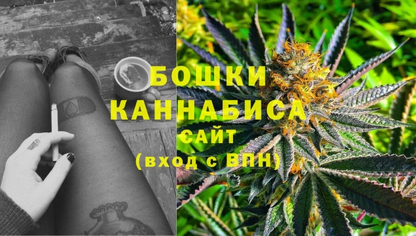 гидра Михайловск