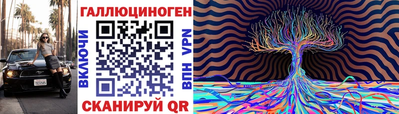 Псилоцибиновые грибы Psilocybe Тайга