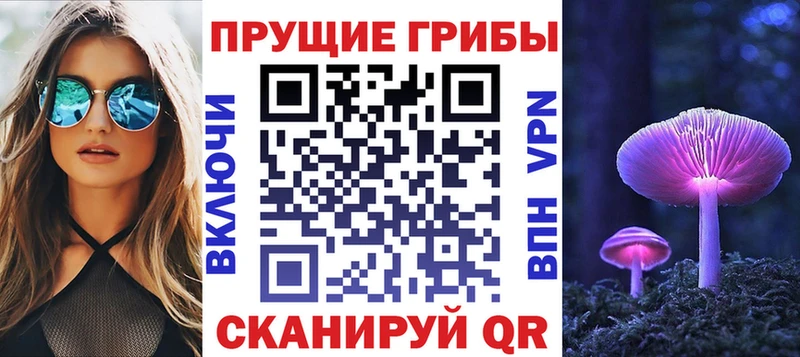 где купить наркоту  Тайга  площадка официальный сайт  Галлюциногенные грибы MAGIC MUSHROOMS 