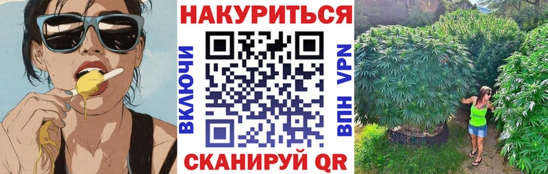 Канабис план Тайга